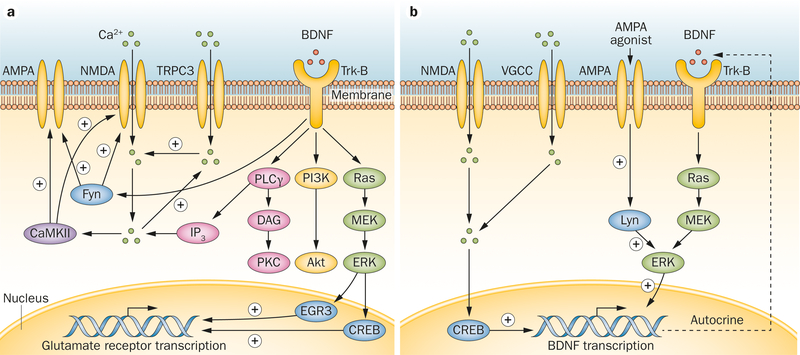 Figure 2 |