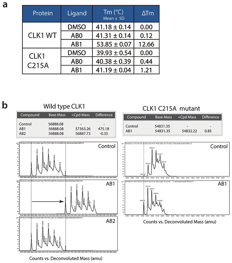 Extended Data Fig. 6