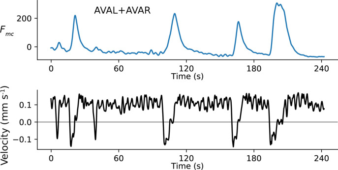 Figure 2—figure supplement 1.