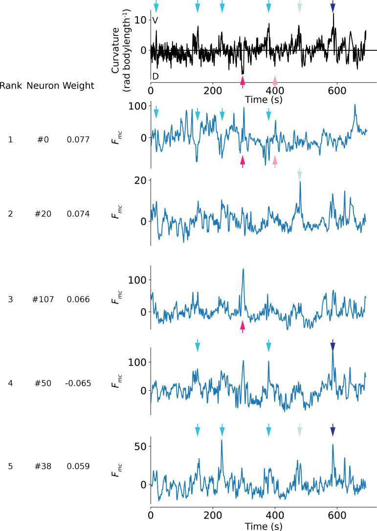 Figure 5—figure supplement 3.