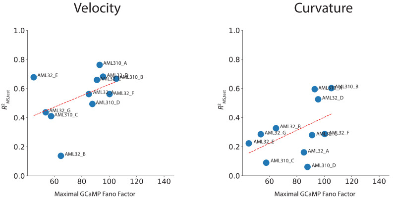 Figure 3—figure supplement 1.