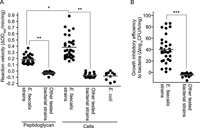 FIG 1