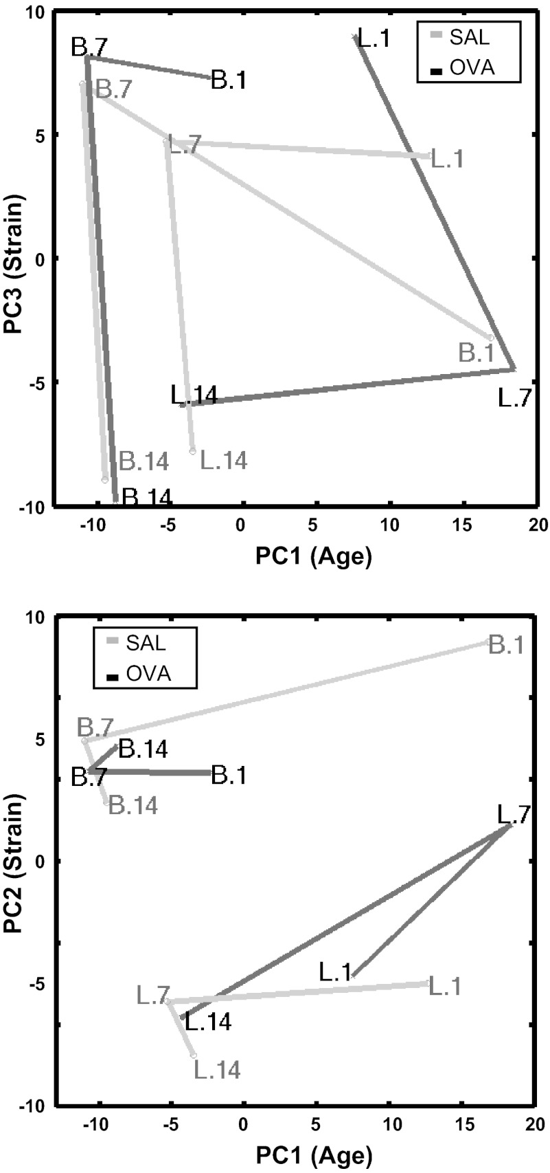 Fig. 5.