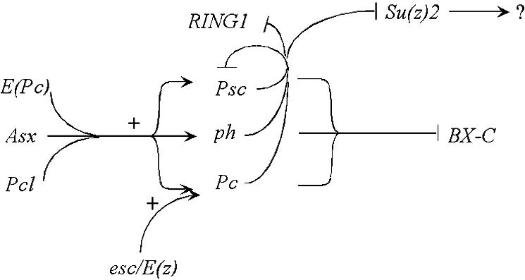 FIG. 5.