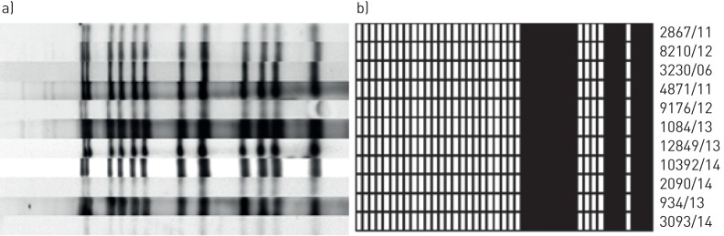 FIGURE 2