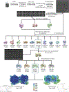 Extended Data Fig. 4 |