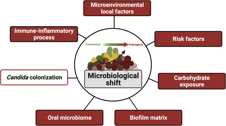 Figure 4