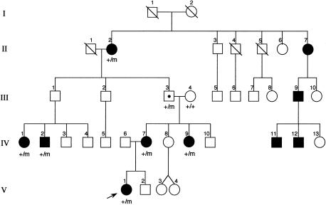 Figure  1