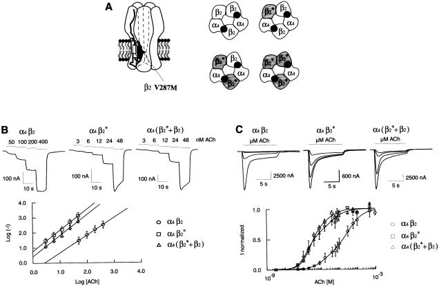 Figure  4