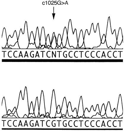 Figure  2