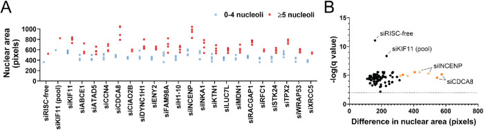 FIGURE 4: