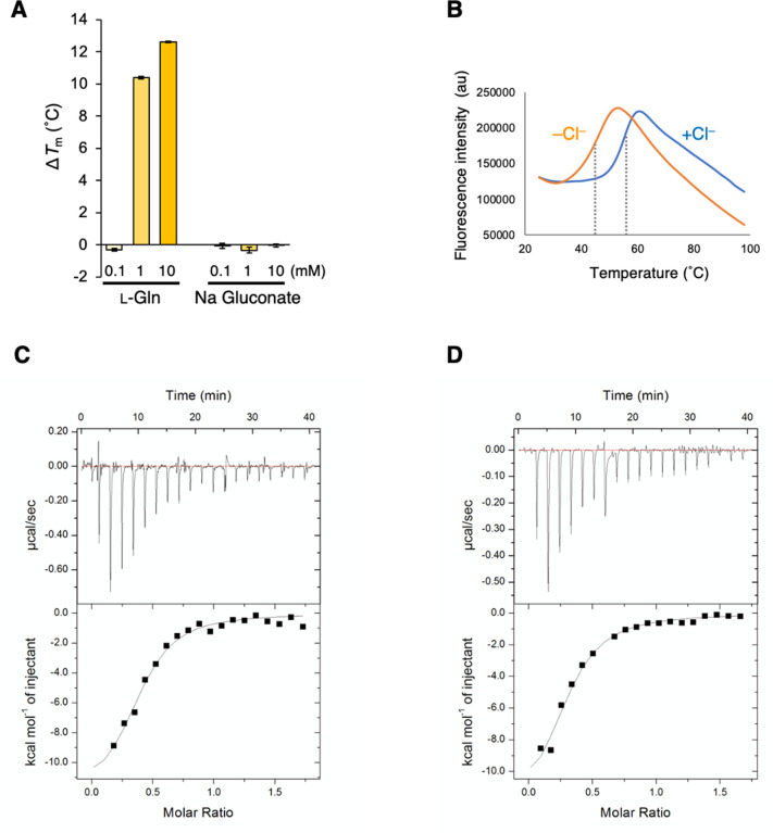 Figure 3—figure supplement 1.