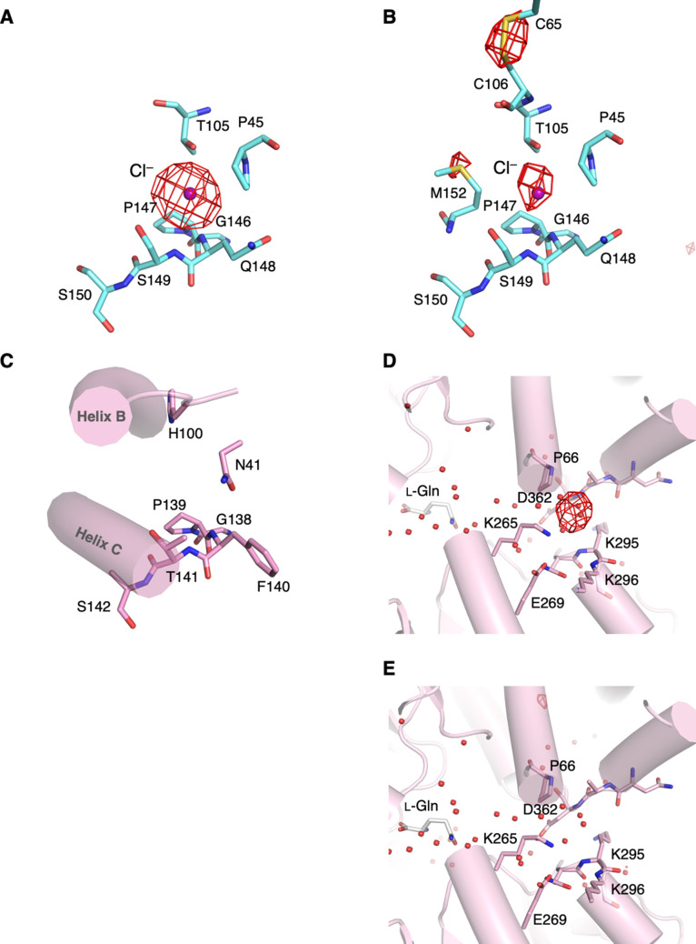 Figure 2—figure supplement 1.