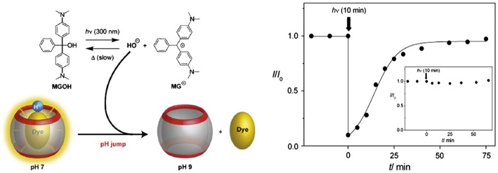 Figure 9