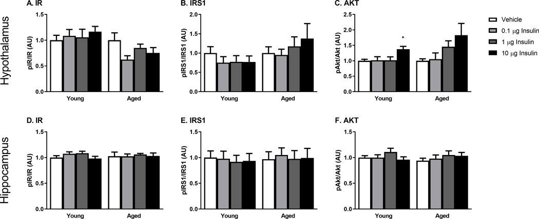 Figure 5.