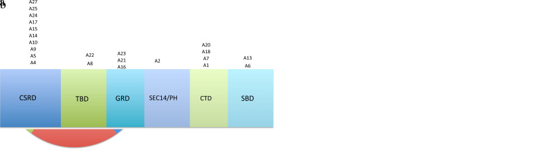 FIG. 2. A, B.