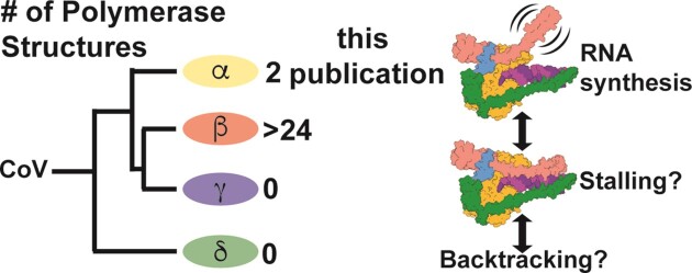 Graphical Abstract