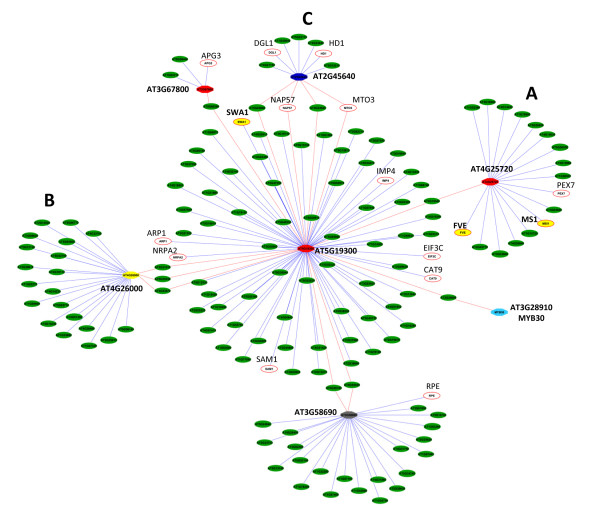 Figure 6