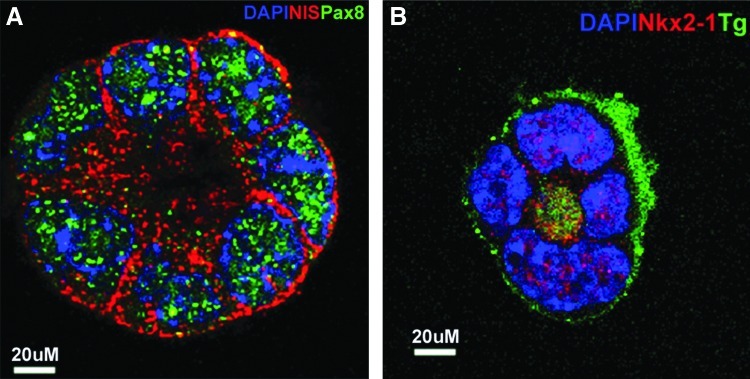 FIG. 7.