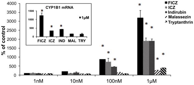 FIGURE 3