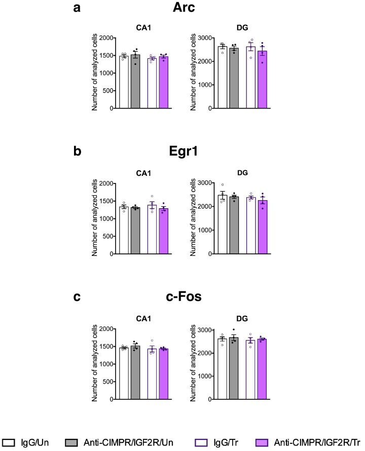 Figure 5—figure supplement 1.