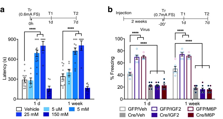 Figure 7.