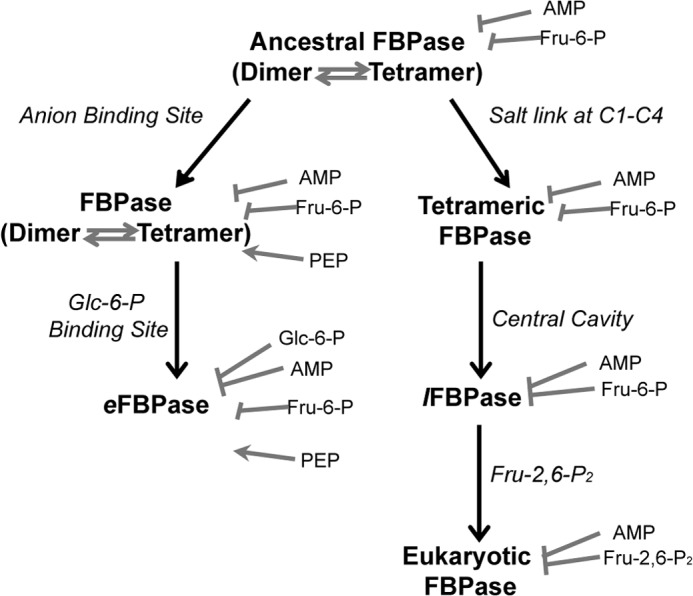 FIGURE 7.