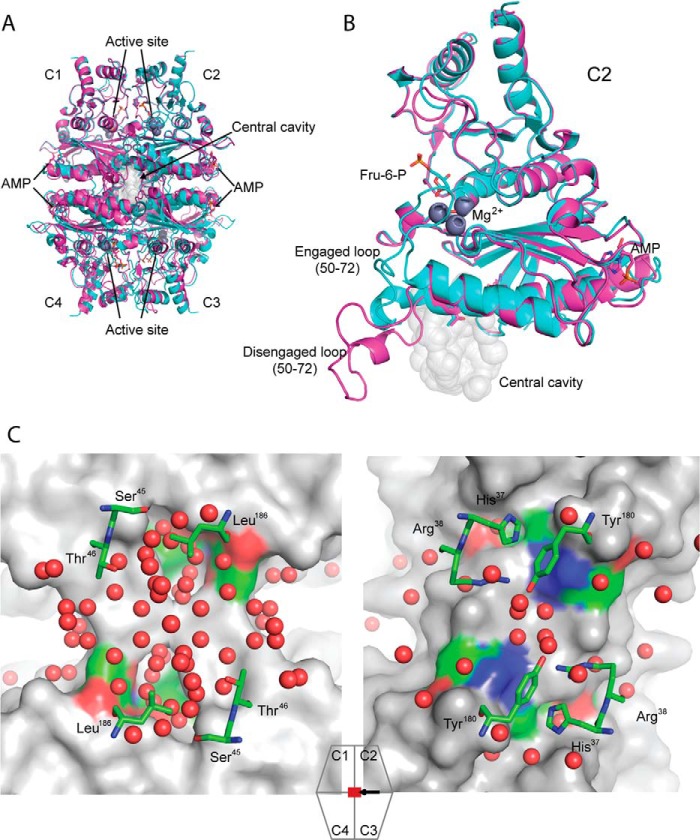 FIGURE 1.