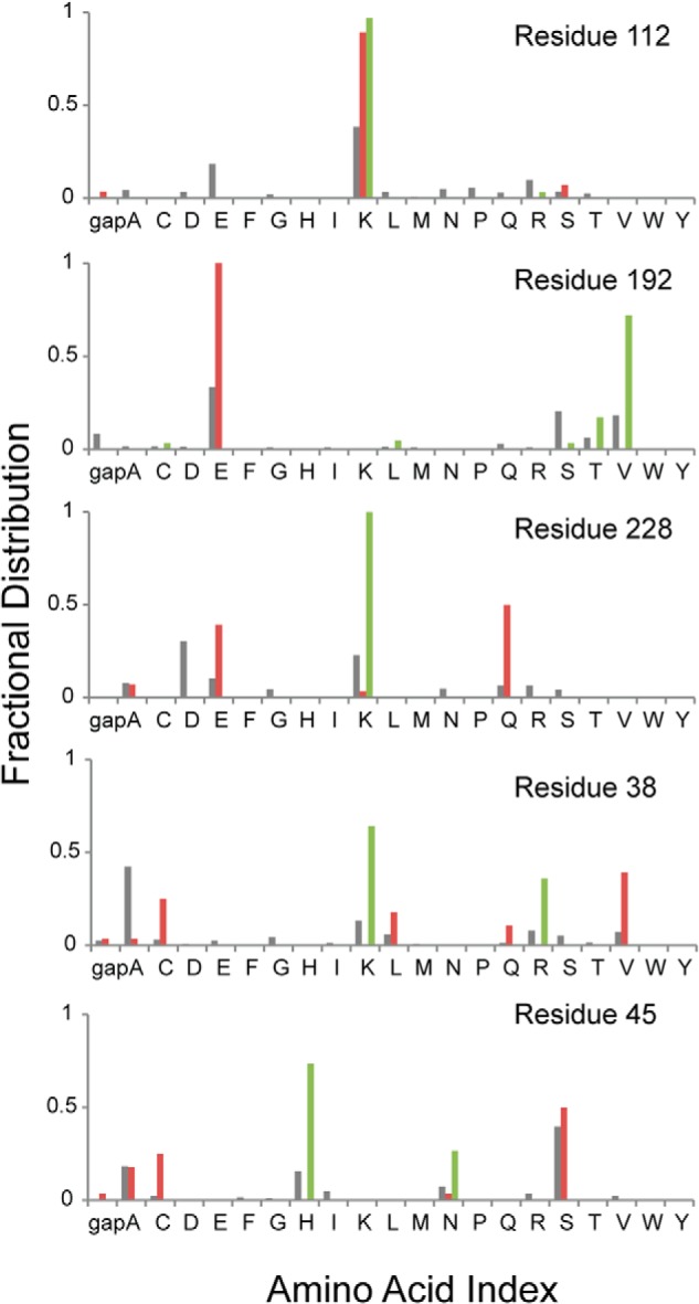 FIGURE 4.