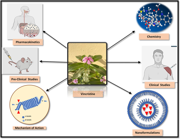 graphic file with name 13346_2023_1389_Figa_HTML.jpg