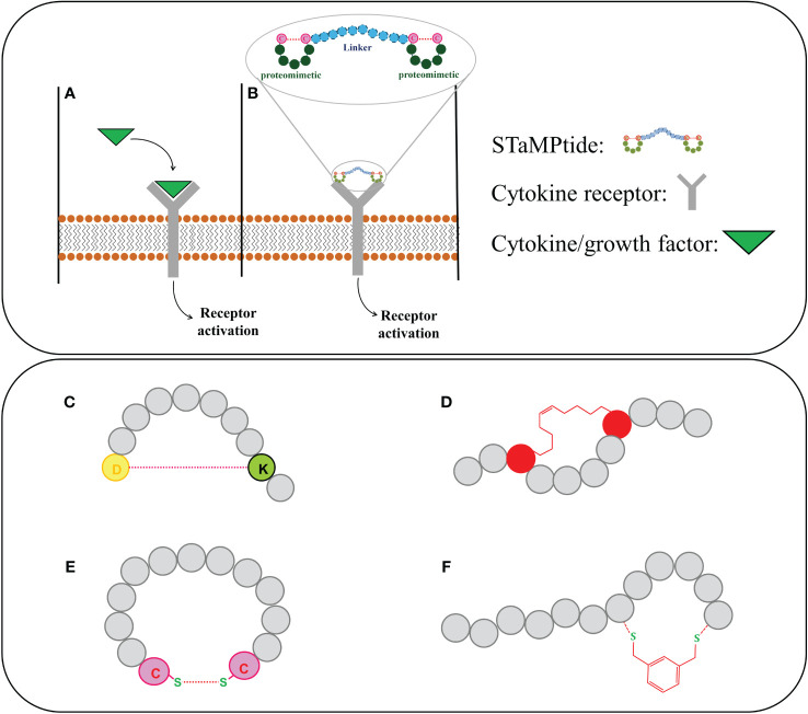 Figure 2