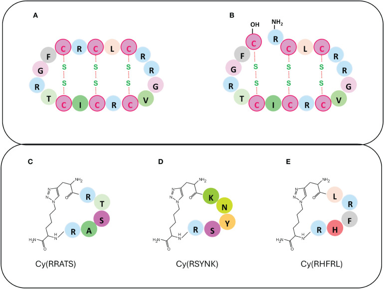 Figure 1