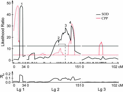 Figure 3.—