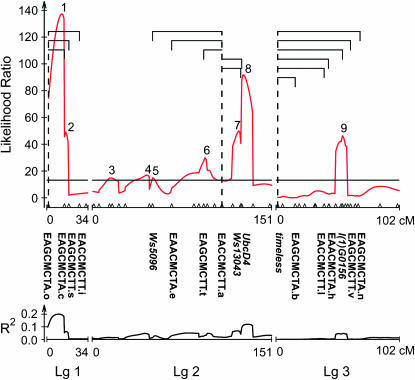 Figure 2.—