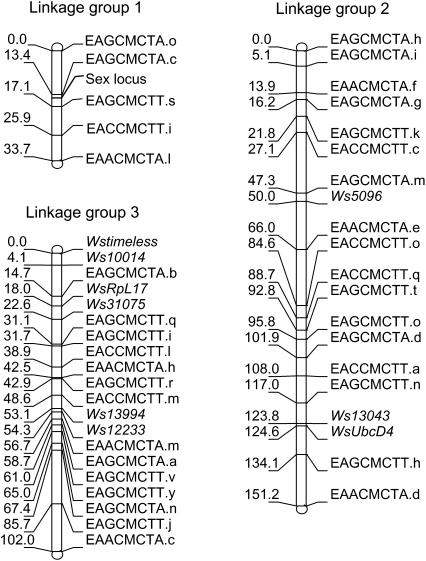 Figure 1.—