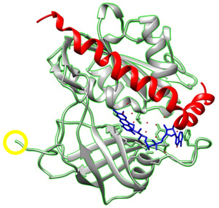 Figure 7