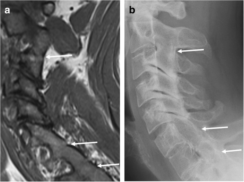 Fig. 9