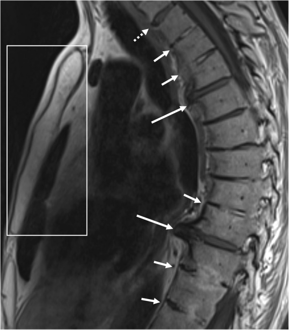 Fig. 8