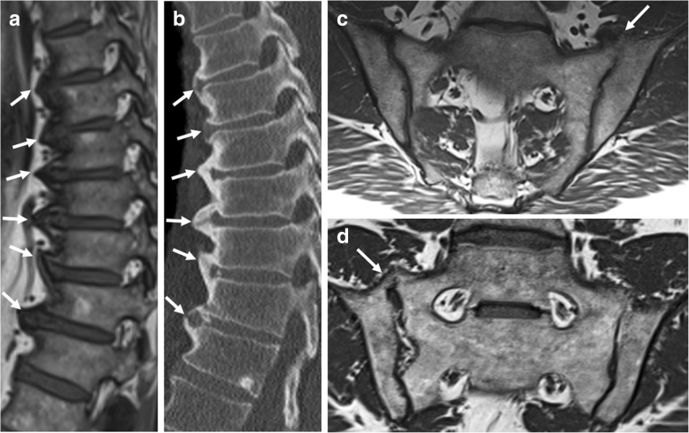 Fig. 10