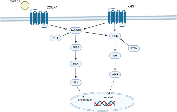 Figure2