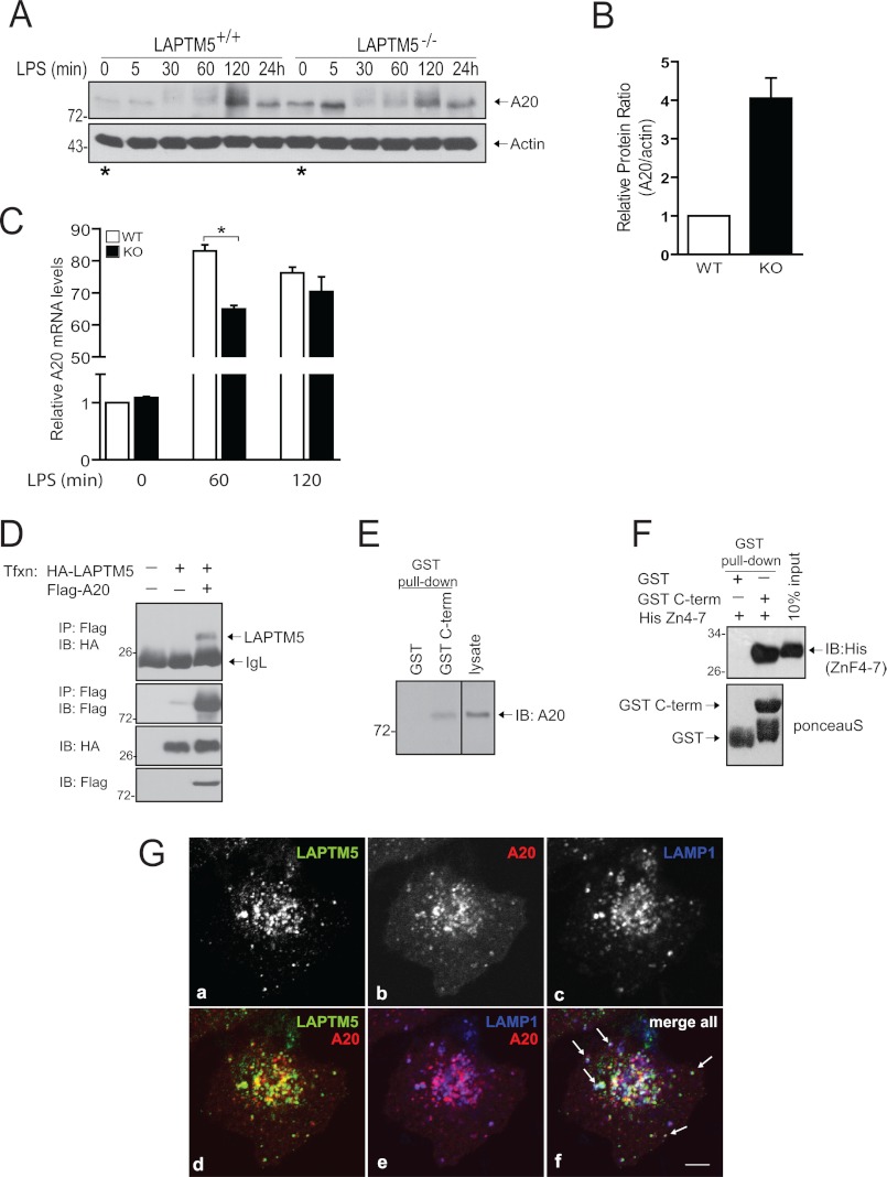 FIGURE 4.