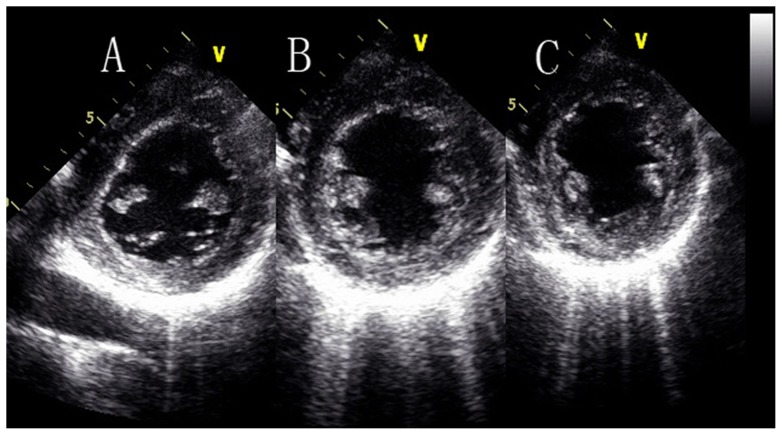 Figure 6