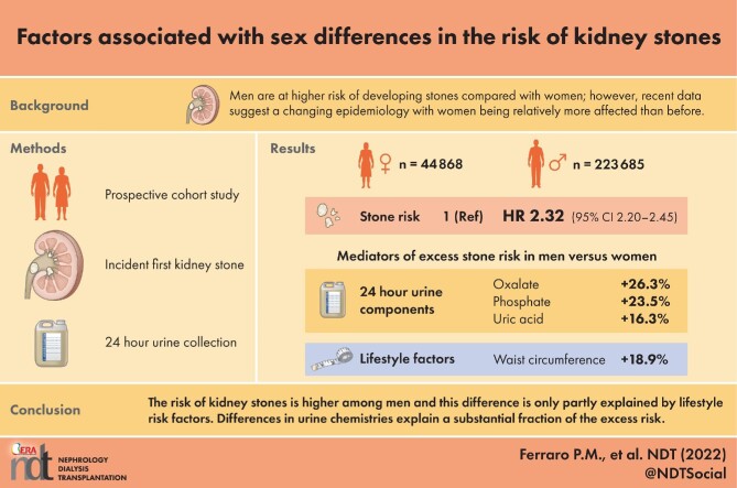 Graphical Abstract