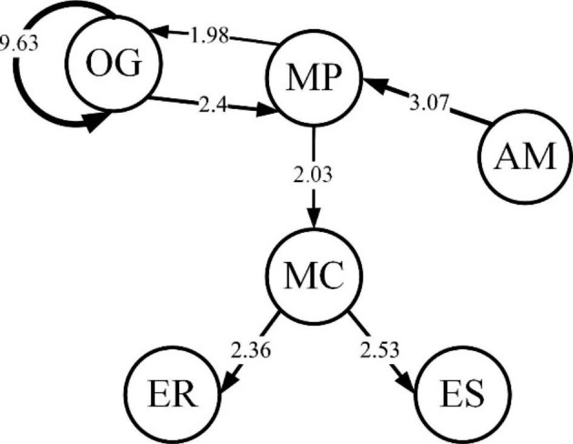 Fig. 7