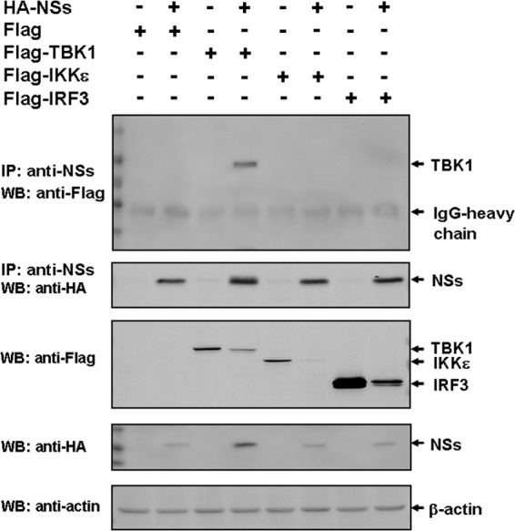 FIG 2