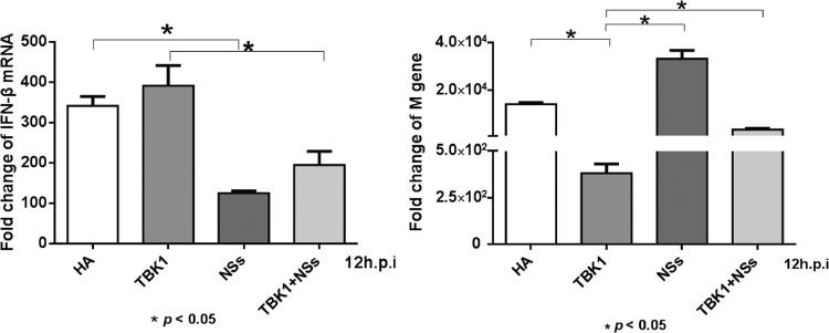 FIG 9