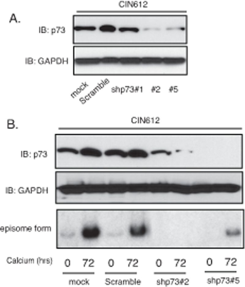 Figure 6.