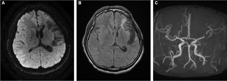 Figure 1.