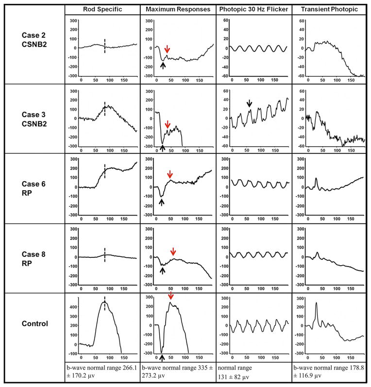 FIGURE 3