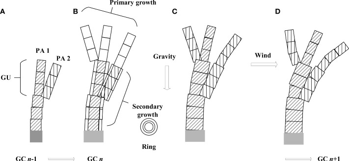 Figure 2